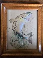 Salmon leaping fly for sale  CAMBRIDGE