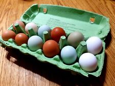 Oeufs fécondés variés d'occasion  Chemillé