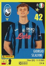 Panini calciatori 2024 usato  Milano