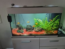 Aquarium120 liter fischen gebraucht kaufen  Saarbrücken