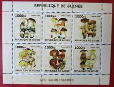 Guinee mushroom pilze gebraucht kaufen  Aue