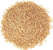 Clover seeds sprouting for sale  Brooklyn