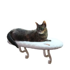 kitten cat perch window for sale kitten cat perch window for sale Eugene