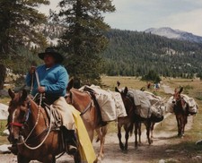 Horseback trail ride for sale  Mission