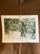 Calendário promocional vintage Brooke Shields The Blue Lagoon 1982, usado comprar usado  Enviando para Brazil