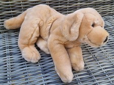 Animal alley labrador for sale  GLASGOW