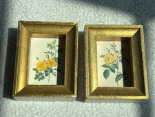 Miniature yellow roses for sale  Evansville