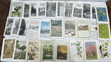 30x issues gleanings d'occasion  Expédié en Belgium