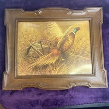 Robert abbett pheasant for sale  Shelbyville