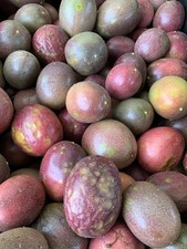 fresh fruit organic for sale fresh fruit organic for sale Carpinteria