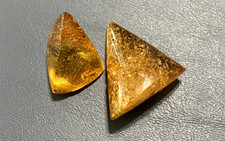 Copal amber chunk for sale  Midland