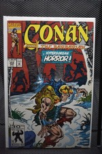 Conan barbarian 254 for sale  Sedro Woolley