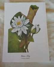 Vtg art print for sale  Alamogordo
