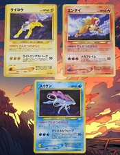 Pokemon raikou 243 usato  Castelfranco Emilia