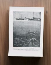 Antique 1915 deep for sale  BASINGSTOKE