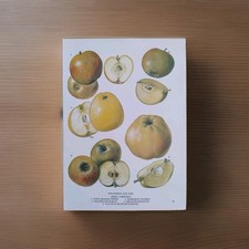 Apples vintage botanical for sale  BIRKENHEAD