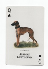 Sloughi single novelty for sale Sloughi single novelty for sale  COLEFORD