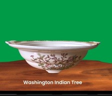Washington pottery indian for sale  CARTERTON