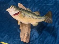 Big largemouth bass for sale  Trafford