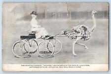 Usado, Cartão postal St. Louis Missouri MO The Trotting Ostrich Gaucho St. Louis c1920's comprar usado  Enviando para Brazil