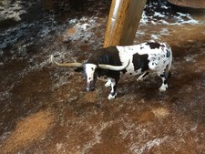 Schleich 73527 texas for sale  Baldwin