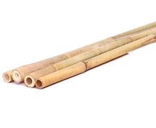 Tonkin bambusstange 200cm gebraucht kaufen  Jettenbach