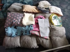 Pet cat guinea for sale  ASHINGTON