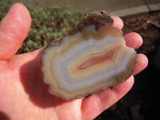 Large laguna agate for sale  Sonoma