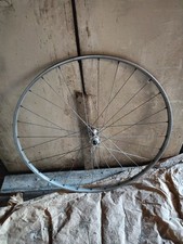 Ruota campagnolo fori usato  Vertemate con Minoprio