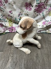 Country artists puppy for sale  SWANSEA