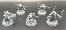 Acolyte hybrids genestealer for sale  ILKESTON