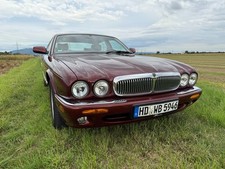 jaguar lederausstattung gebraucht kaufen  Edingen-Neckarhausen