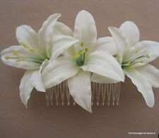 Triple cream lily for sale  Chandler