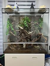 Terrarium 120x100x60 glas gebraucht kaufen  Ratingen