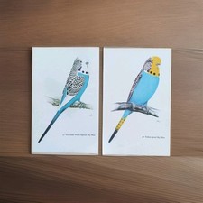 Bird art print for sale  BIRKENHEAD