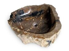 Fossil versteinertes holz gebraucht kaufen  Wiggensbach