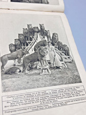 Usado, Álbum ilustrado antigo alemão Cirque Charles Circus Krone 1913 comprar usado  Enviando para Brazil