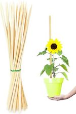 Pack inch bamboo for sale  Bensenville