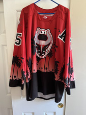 Birmingham bulls replica for sale  Honey Brook