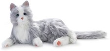 Joy companion pet for sale  Lumberton