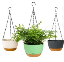 Inch plant pot for sale  Williamson