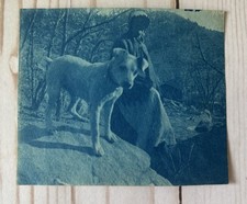 Antique cyanotype photo for sale  Portland