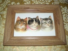 Cats smiles brown for sale  Fresno