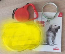 Collier chien chiot d'occasion  L'Escarène