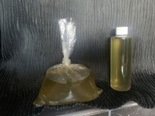 Live marine rotifers for sale  Atlanta