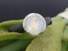 Goldjunge69 luna design gebraucht kaufen  Rüsselsheim am Main