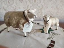 ewe lamb for sale ewe lamb for sale FRODSHAM