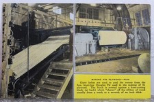 Scenic giant lathes for sale  Wilmington