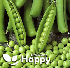 Vegetable seeds early for sale  DONCASTER