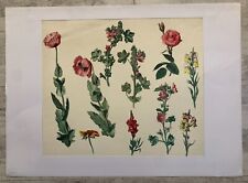 Watercolor study flowers d'occasion  Expédié en Belgium